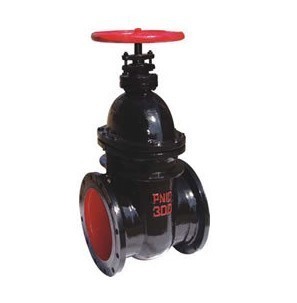 【Z44H、Z44Y 型 PN16~PN160 鋼制平行式雙閘板閘閥】?jī)r(jià)格,廠家,圖片,閥門,浙江中偉閥門制造-